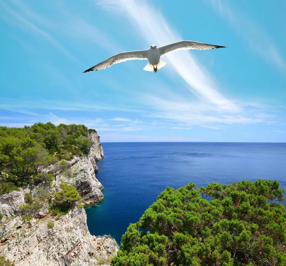 Pansion Alen - Dugi Otok Bed & Breakfast Luka  3*, Luka (Dugi Otok)