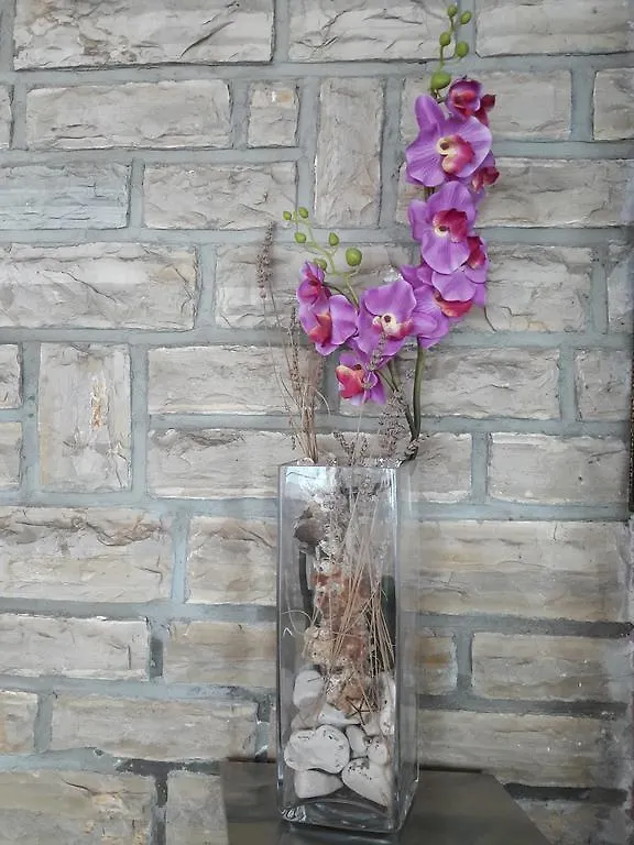 Pansion Alen - Dugi Otok Bed & Breakfast Luka